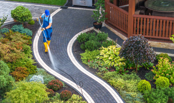 Best Pressure Washing Services Near Me  in Windsor, IL