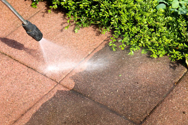 Best Pressure Washing Driveway  in Windsor, IL